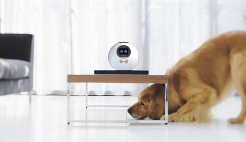 語音助手 智能家居新終端引領未來生活變革